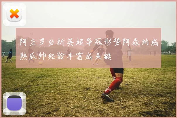 阿圭罗分析英超争冠形势阿森纳成熟瓜帅经验丰富成关键
