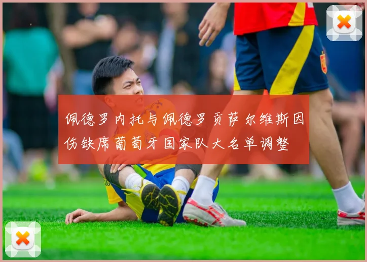 佩德罗内托与佩德罗贡萨尔维斯因伤缺席葡萄牙国家队大名单调整