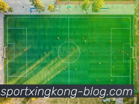 星空体育平台生态图